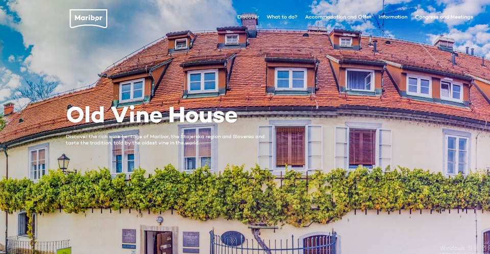 올드 바인 하우스(The Old Vine House). 마리보르(Maribor). Slovenia. Google Photo