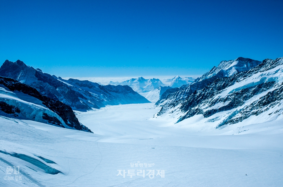 알레치(Aletsch)빙하. 유럽에서 가장 긴 빙하로 알려져 있다. Photo by 최영규