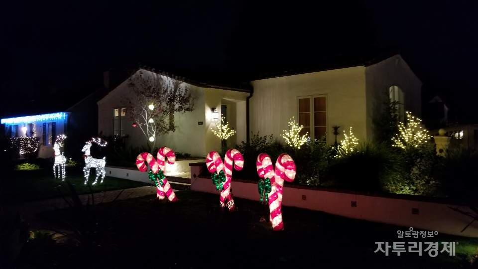 Christmas Tree Lane in Palo Alto, USA. Photo by 최영규