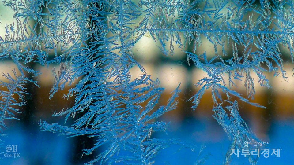 성에. 겨울철 창 밖의 기온이 매우 낮을 때 창 유리의 실내 면에 공기 중의 수증기가 승화하여 형성되는 얼음 결정. Photo by 최영규
