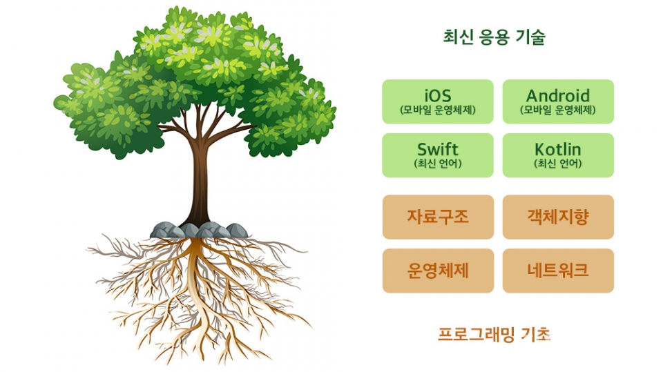 프로그래밍 기술 도식화좌측 나무 그림 출처 = freepik