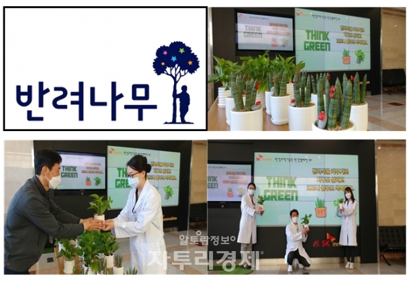 SK이노베이션 환경과학기술원 구성원들이 '반려식물 키우기' 환경캠페인에 참여해 화분을 전달받고 있다. 사진=SK이노베이션