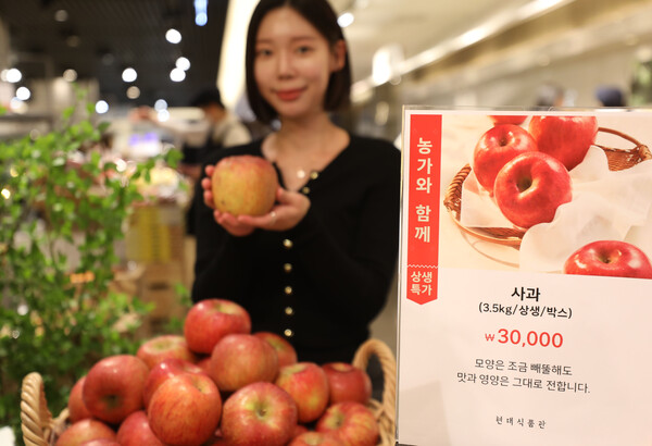 20일 서울 강남구에 위치한 현대백화점 무역센터점 지하 1층 식품관에서 직원이 상생특가 사과를 소개하고 있다. 사진=현대백화점